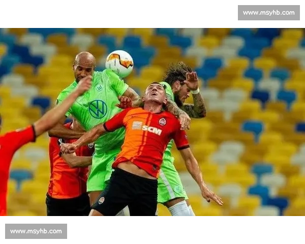 狼队对决狼堡欧战焦点之夜战术碰撞与胜负悬念解析全面前瞻看点