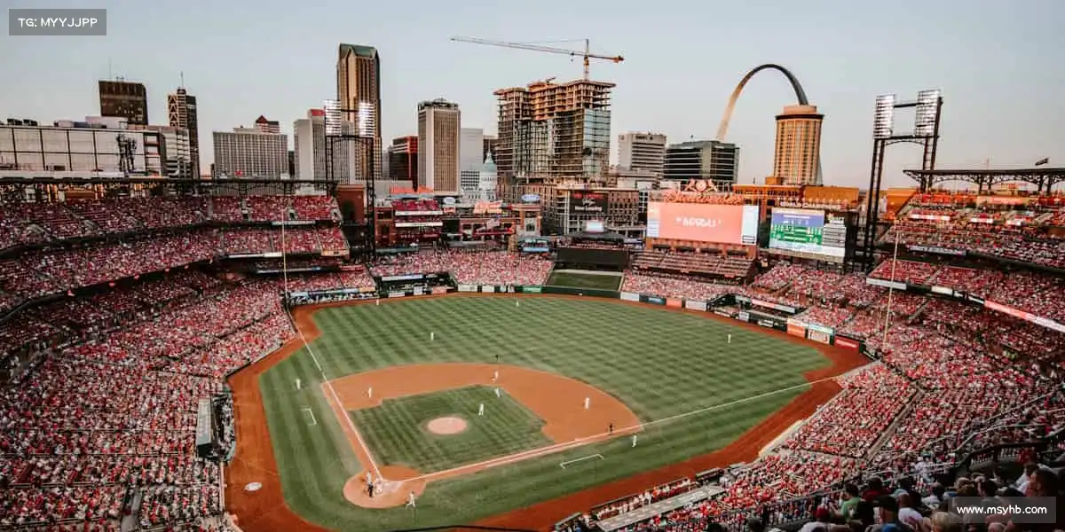 行业领先的理由